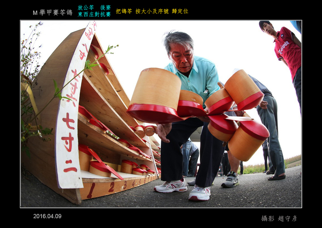 學甲賽笭鴿37