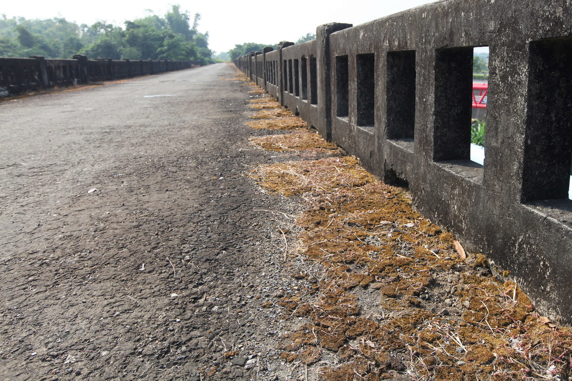 嘉南大圳官田溪渡槽橋03