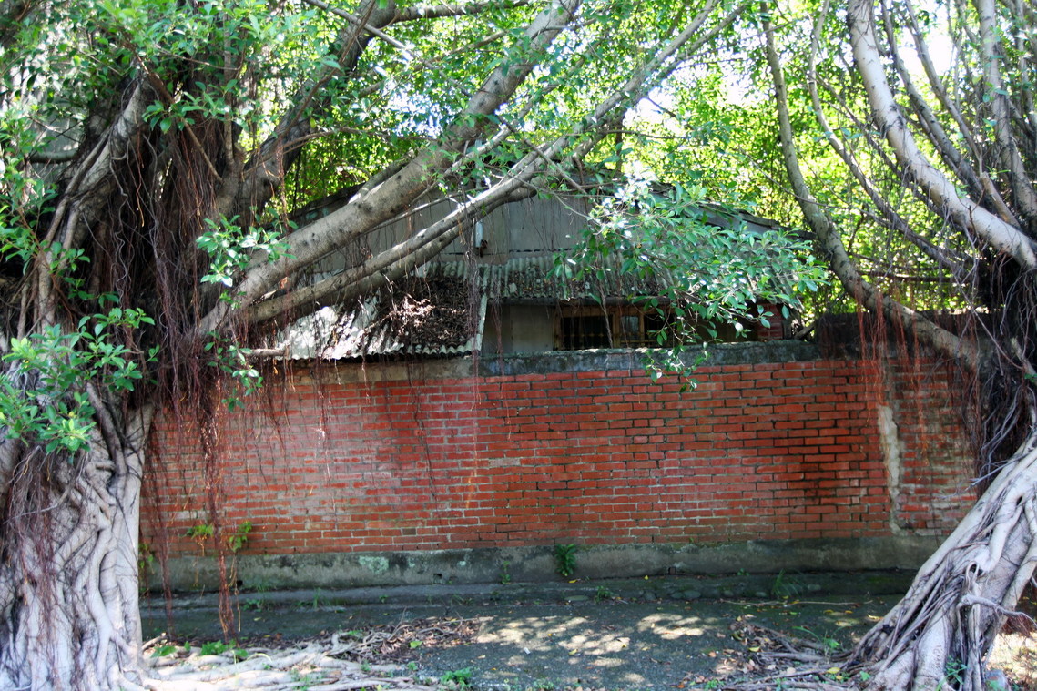 桃園市 大溪太武新村02