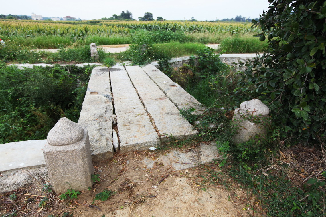 金門縣 觀德橋