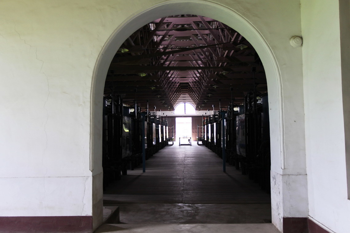 臺南市 原臺南水道16