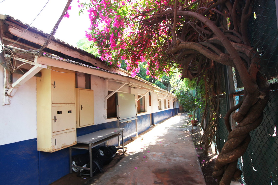 臺北市 大同之家(含網球場)12