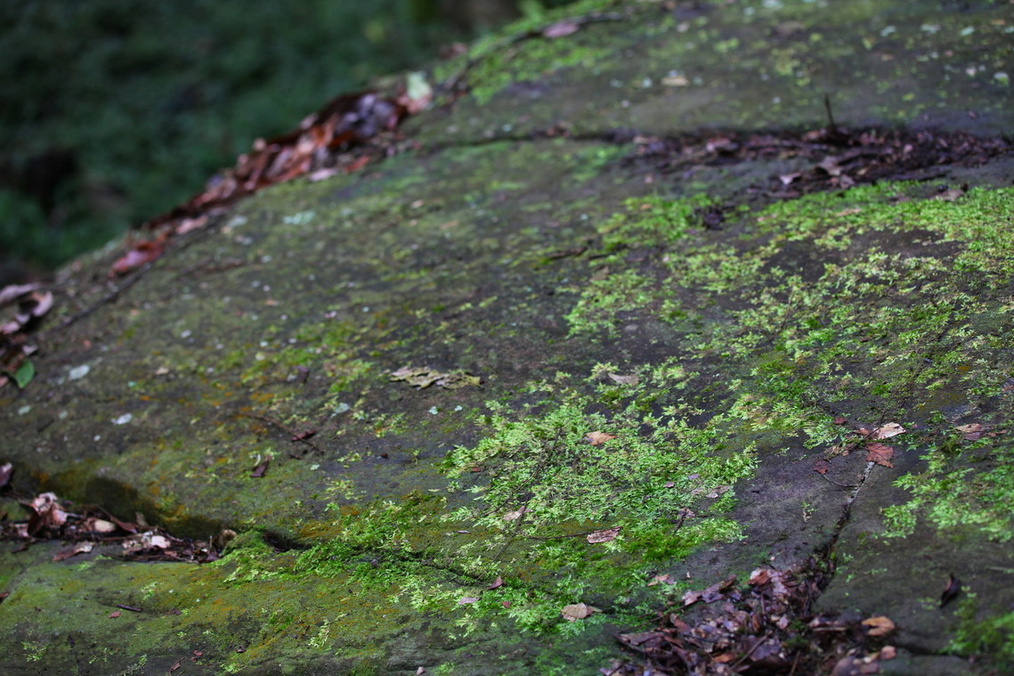 高雄市 萬山岩雕TKM2-2 祖布里里04