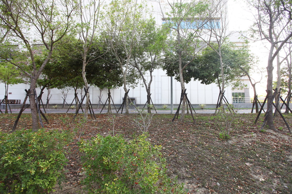 臺南市 旗竿地遺址02