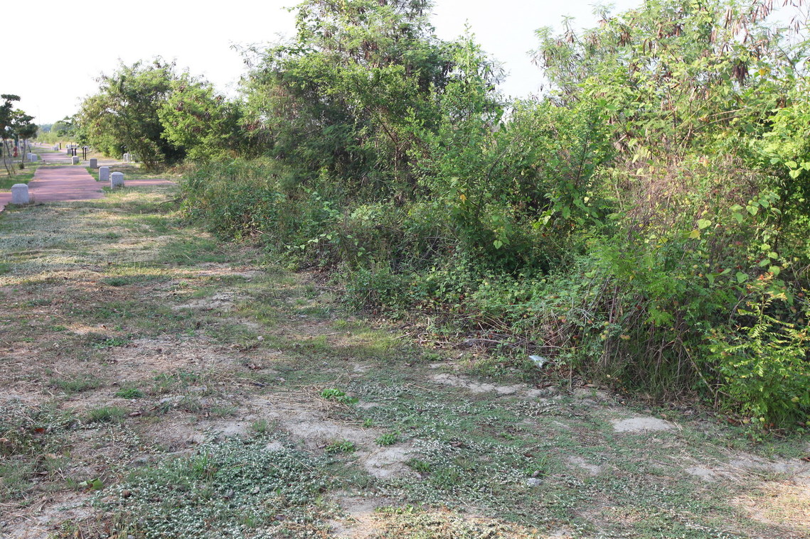 臺南市 新市．木柵遺址03