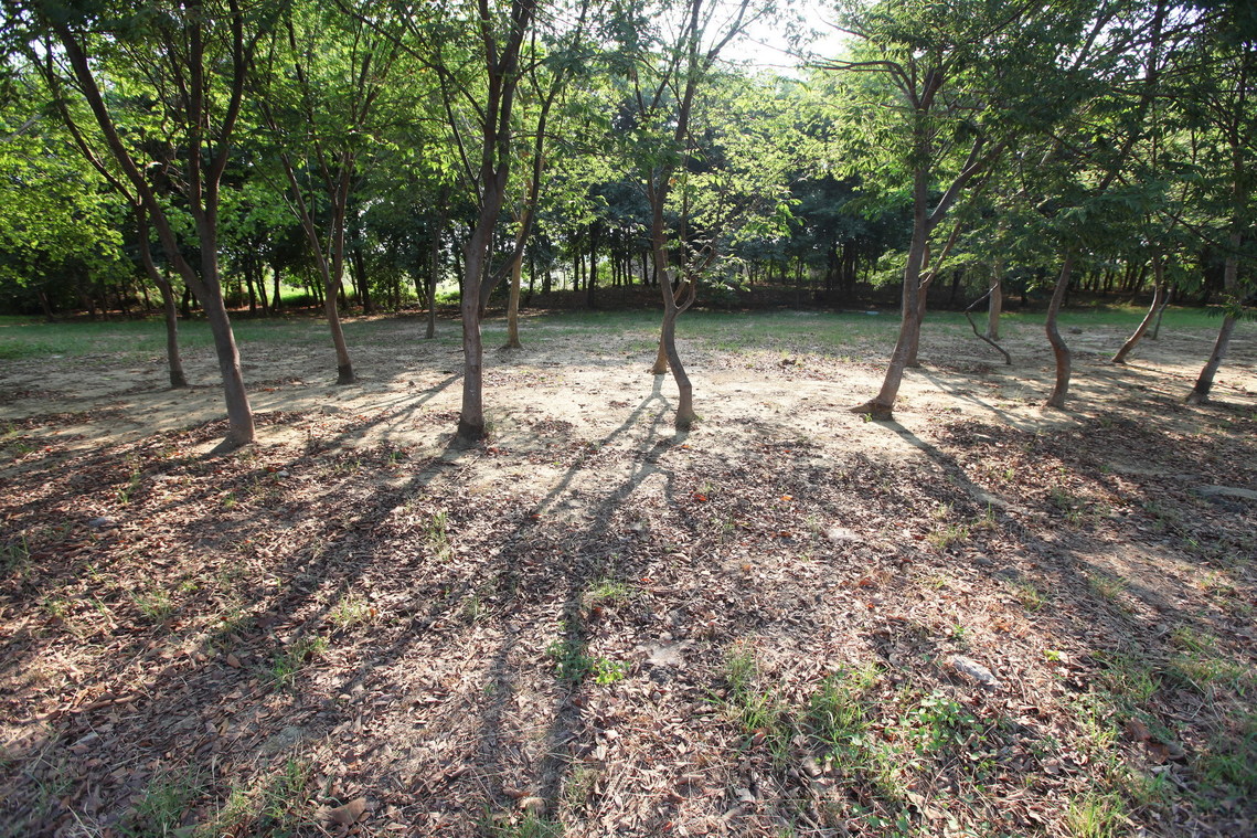 臺南市 道爺南糖部遺址02