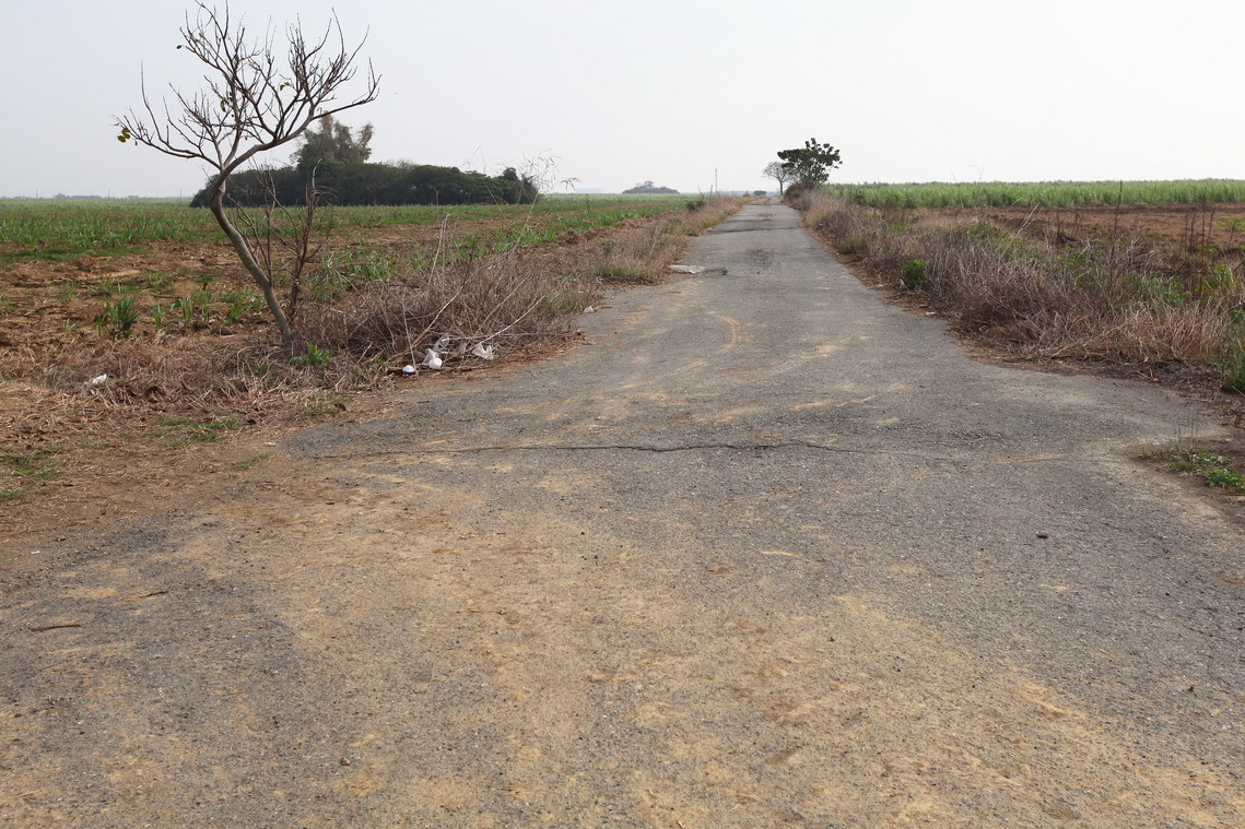 嘉義縣 魚寮遺址02