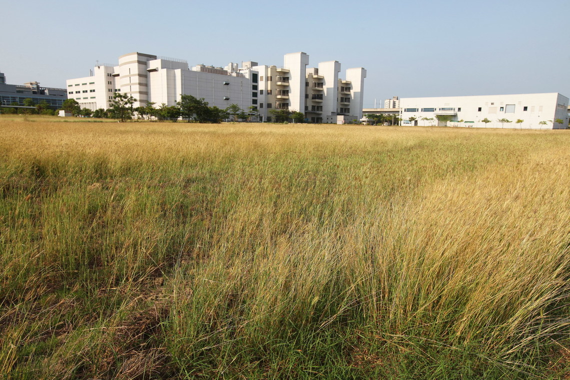 臺南市 五間厝南遺址03