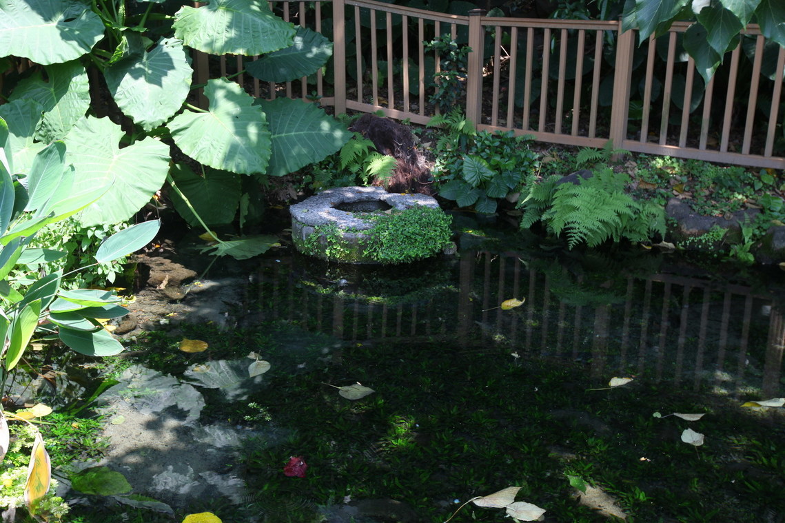 臺北市 八芝蘭番仔井02