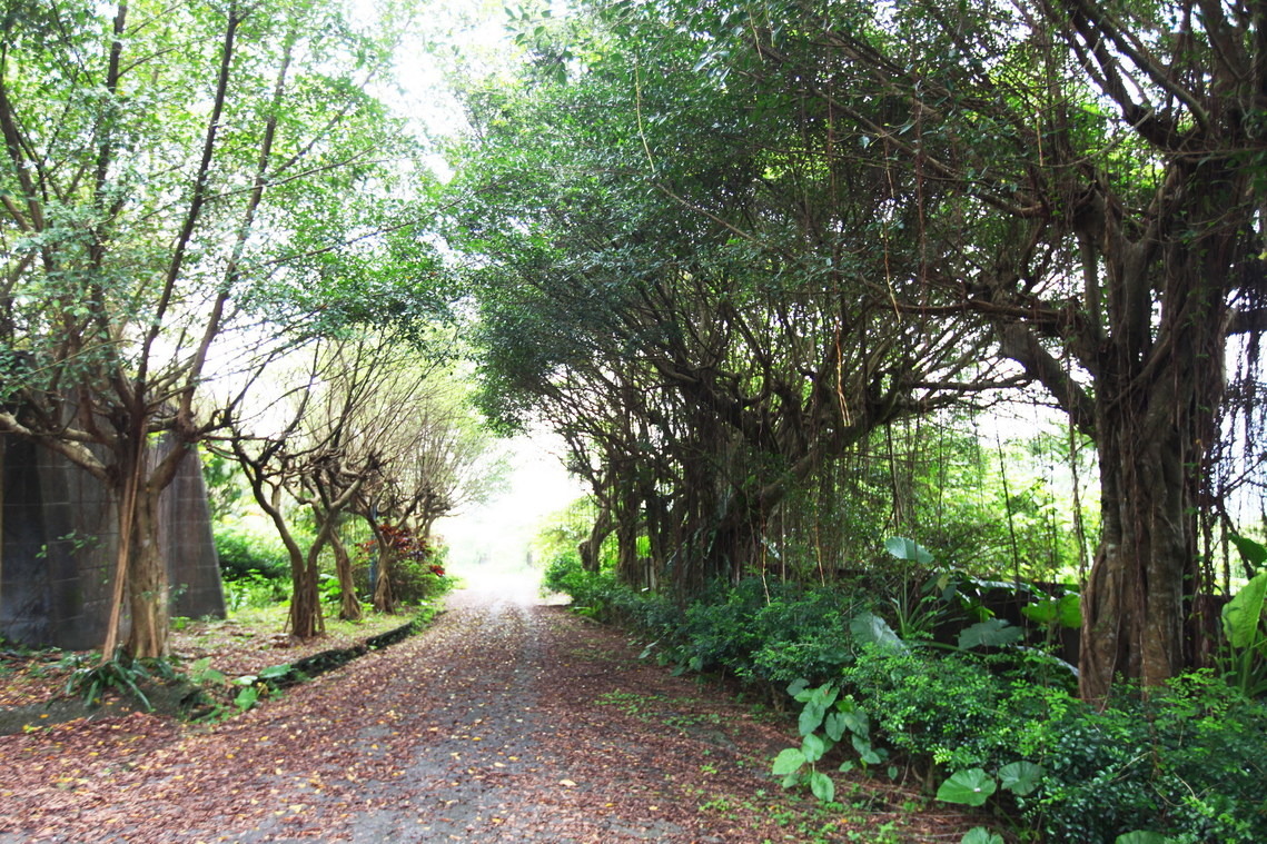 宜蘭縣 丸山遺址02