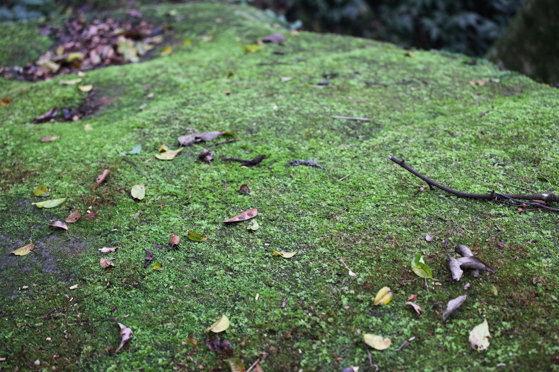 高雄市 萬山岩雕TKM4-3 大軋拉烏12