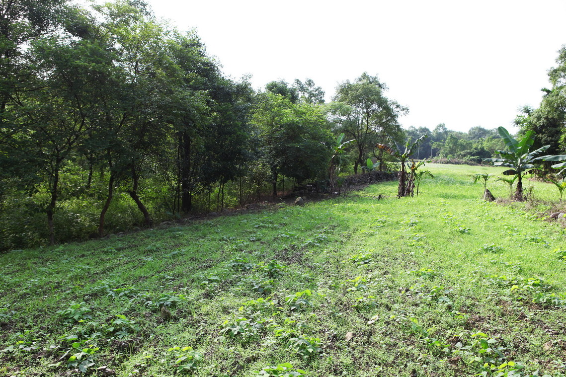 花蓮縣 萬榮鄉平林遺址