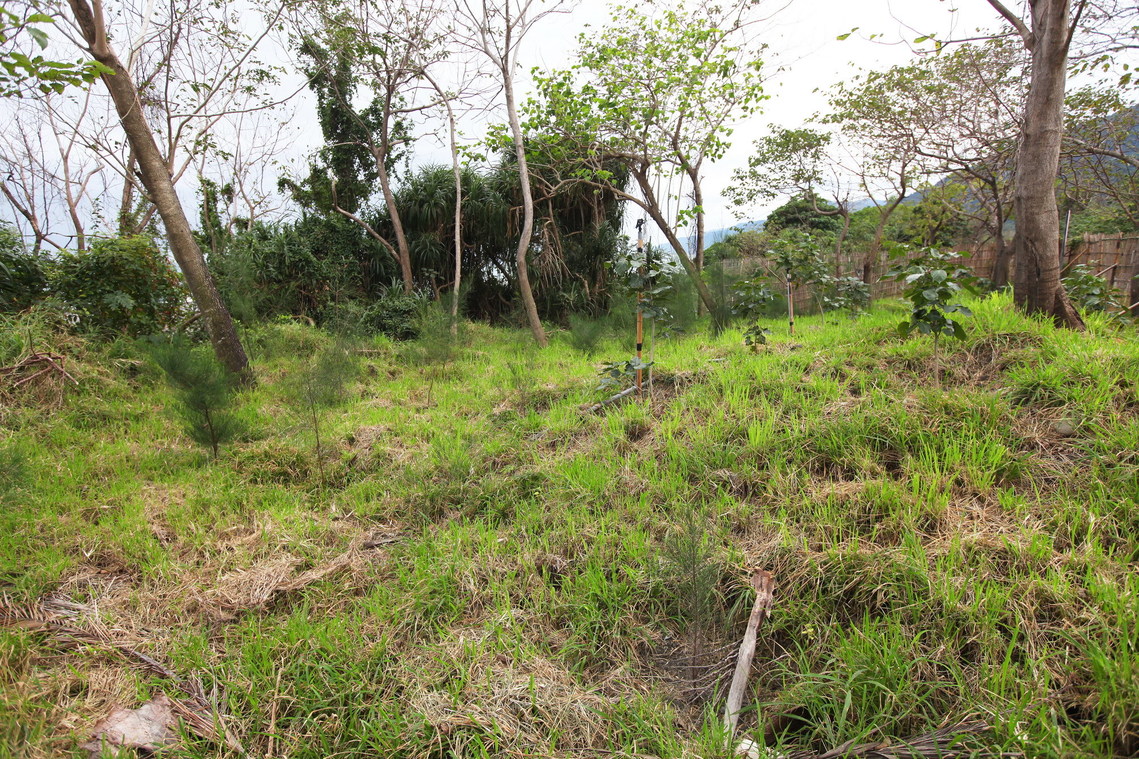 臺東縣 舊香蘭遺址05