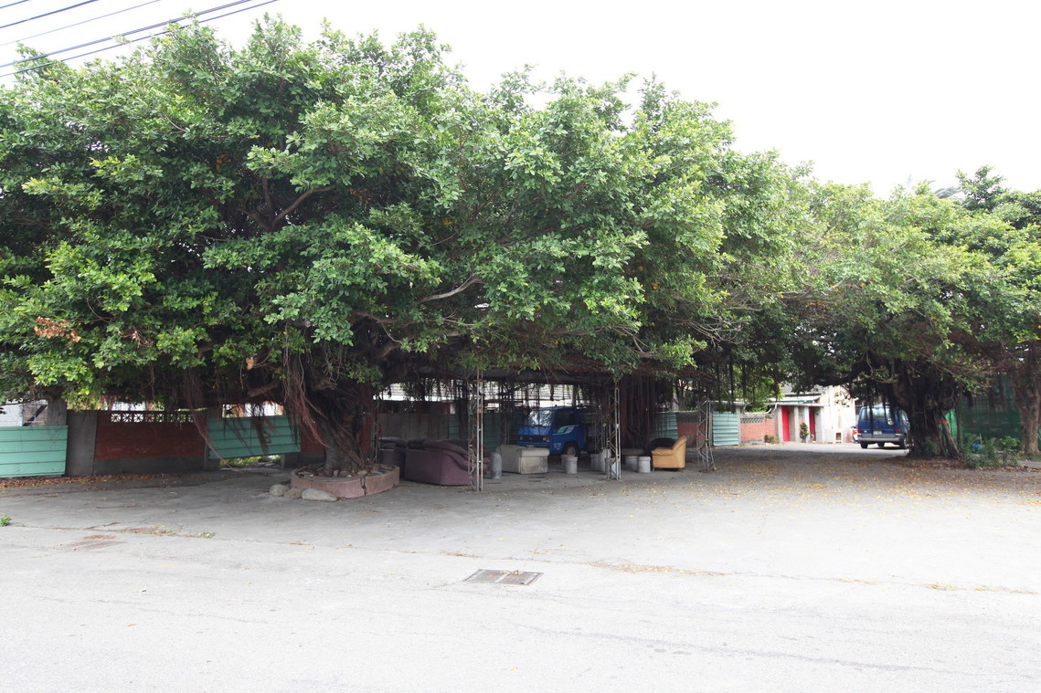 臺中市 清水中社遺址 03