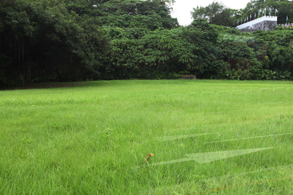 臺北市 圓山遺址03