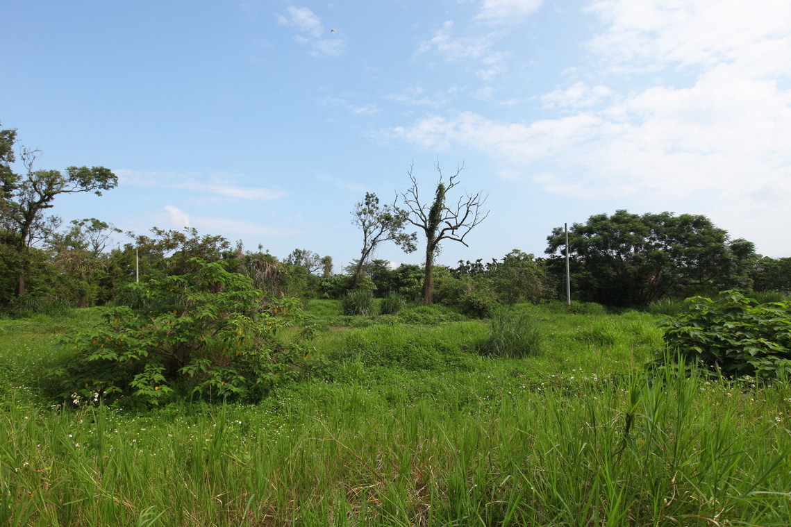 南投縣 大馬璘遺址02