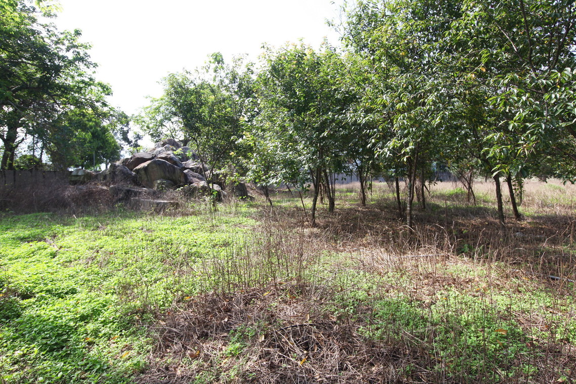 南投縣 水蛙窟(堀)遺址