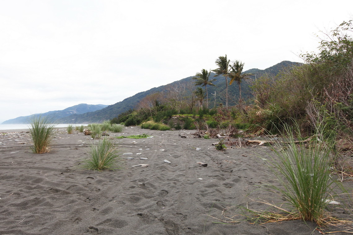 臺東縣 舊香蘭遺址03