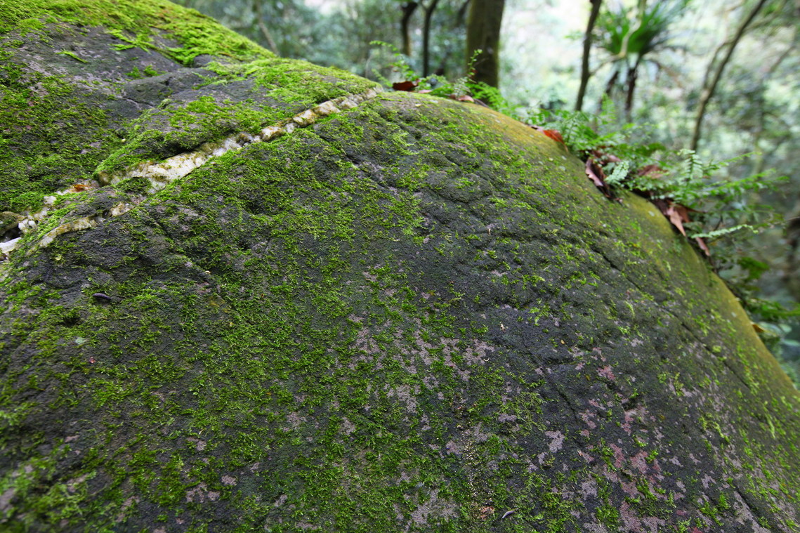 高雄市 萬山岩雕TKM4-8 大軋拉烏04
