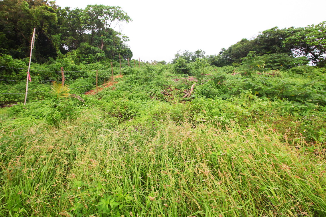 高雄市 鳳鼻頭遺址10