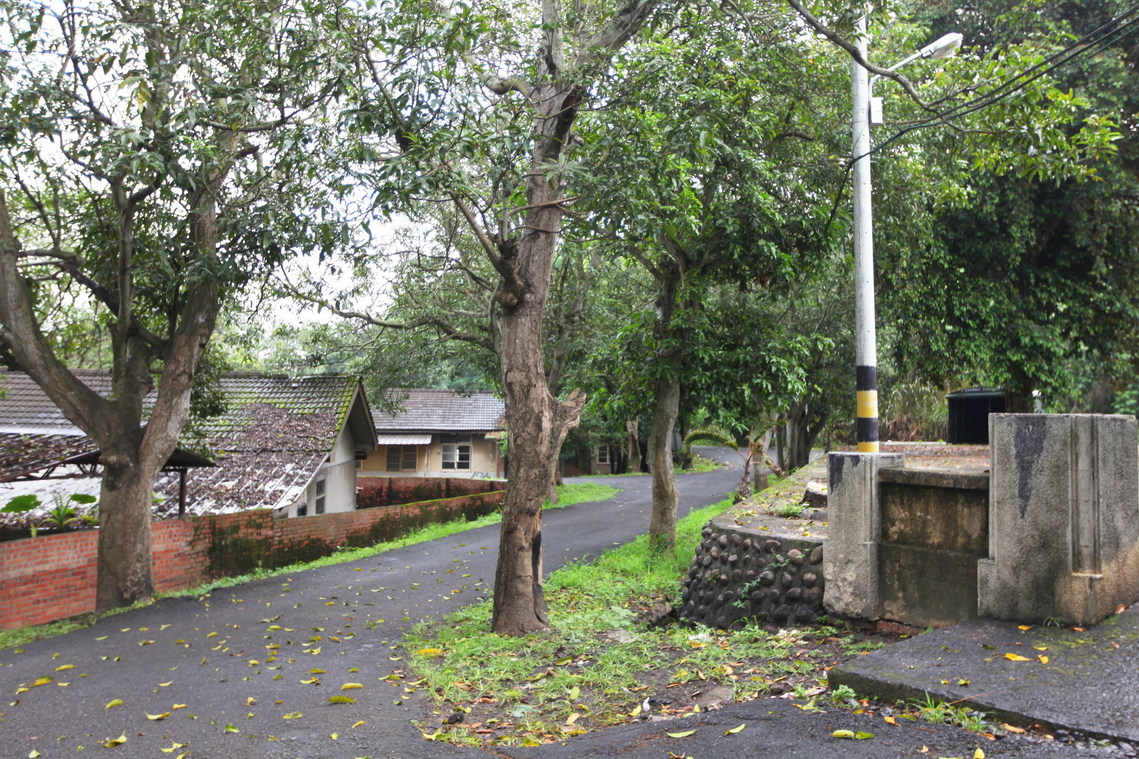 臺中市 霧峰光復新村省府眷舍03