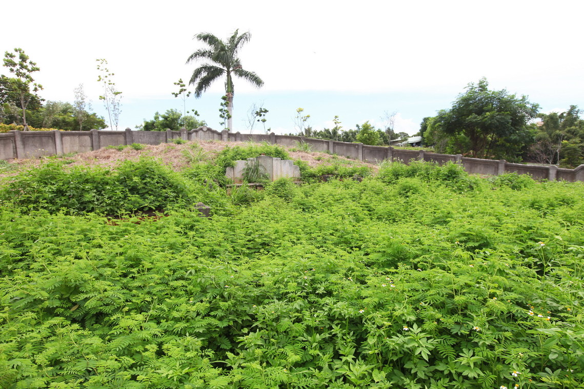 嘉義市 林母郭孺人暨二子壽域墓01