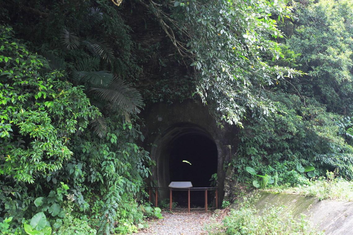 宜蘭縣 羅東林鐵八號隧道01