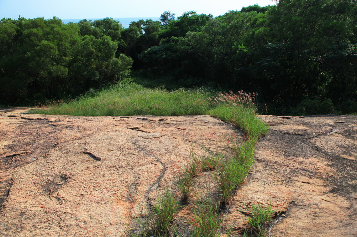 金門縣 陳顯墓05