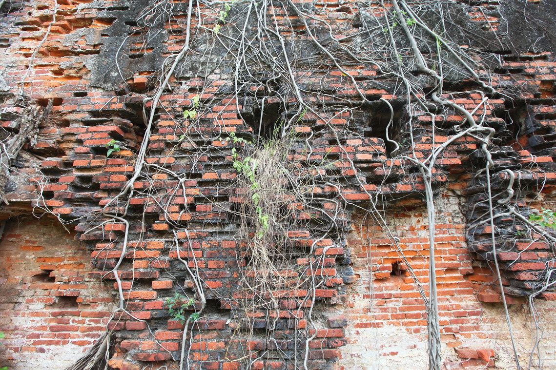 臺南市 熱蘭遮城城垣暨城內建築遺構08