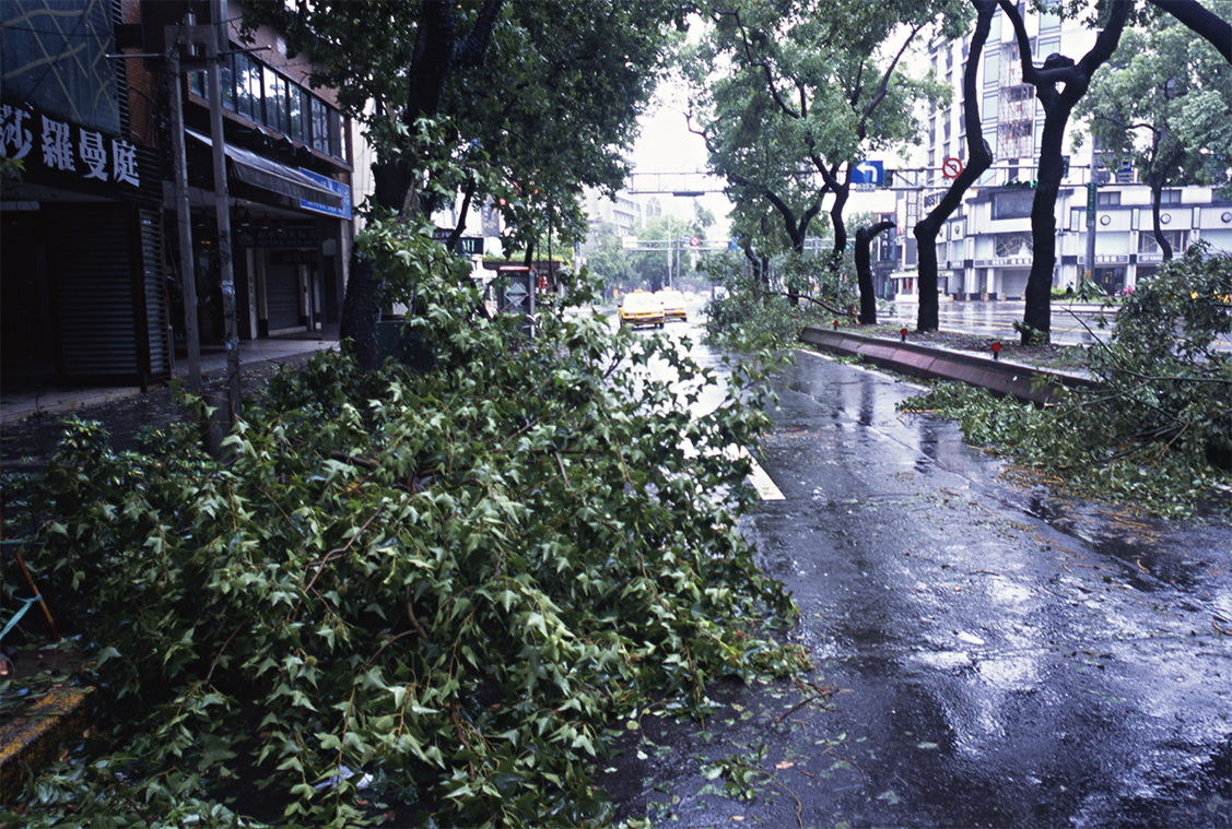 海棠颱風強風肆虐