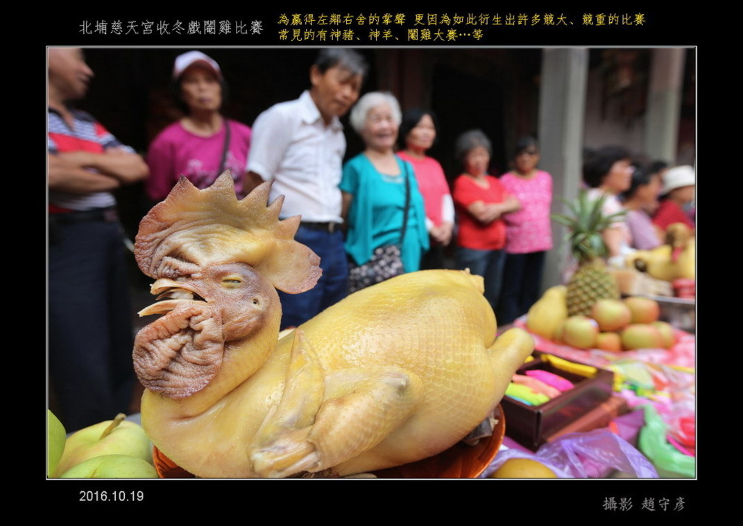 北埔慈天宮收冬戲閹雞比賽08
