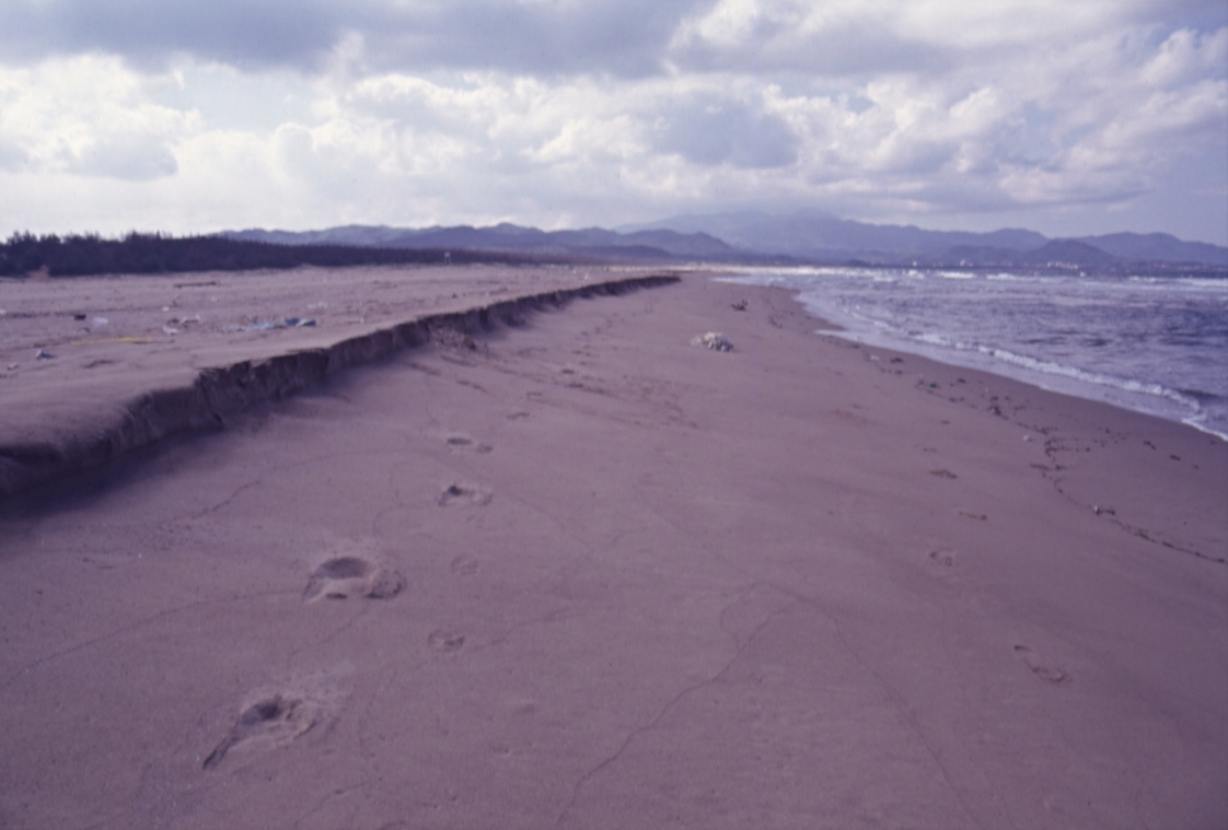 新北瑞芳鼻頭角沙灘 柯金源