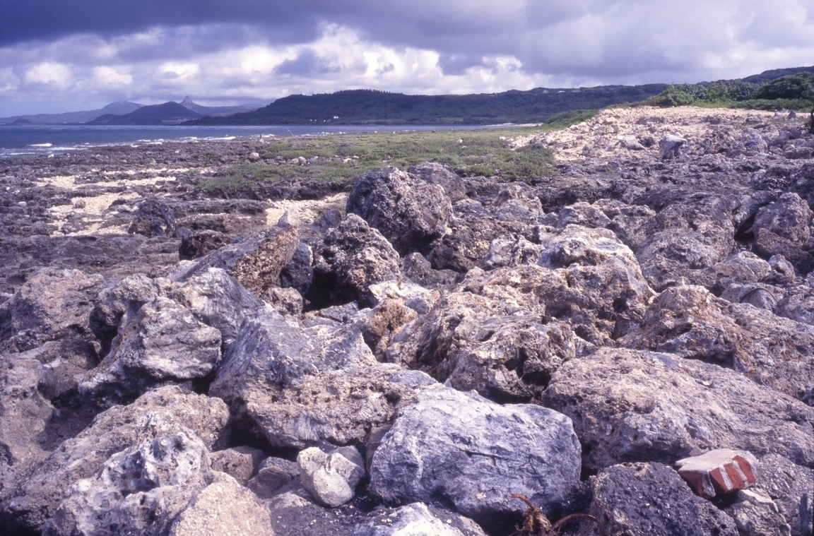 屏東恆春海岸高位珊瑚礁岩受到嚴重破壞 柯金源