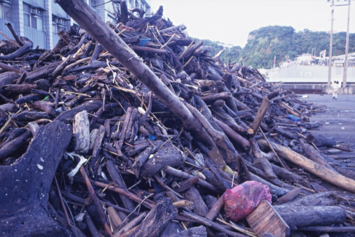 納莉颱風之後、大量漂流木