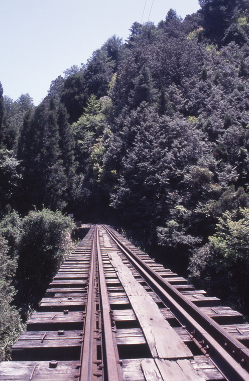 阿里山森林遊樂區眠月線森林鐵路