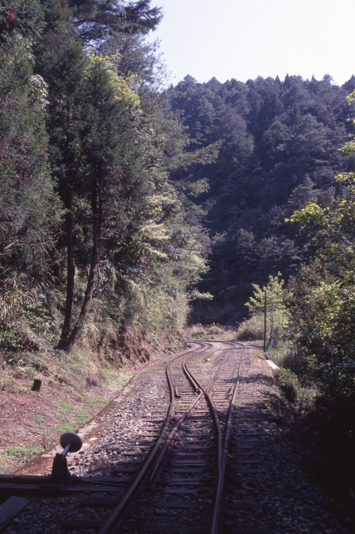 阿里山森林遊樂區眠月線森林鐵路