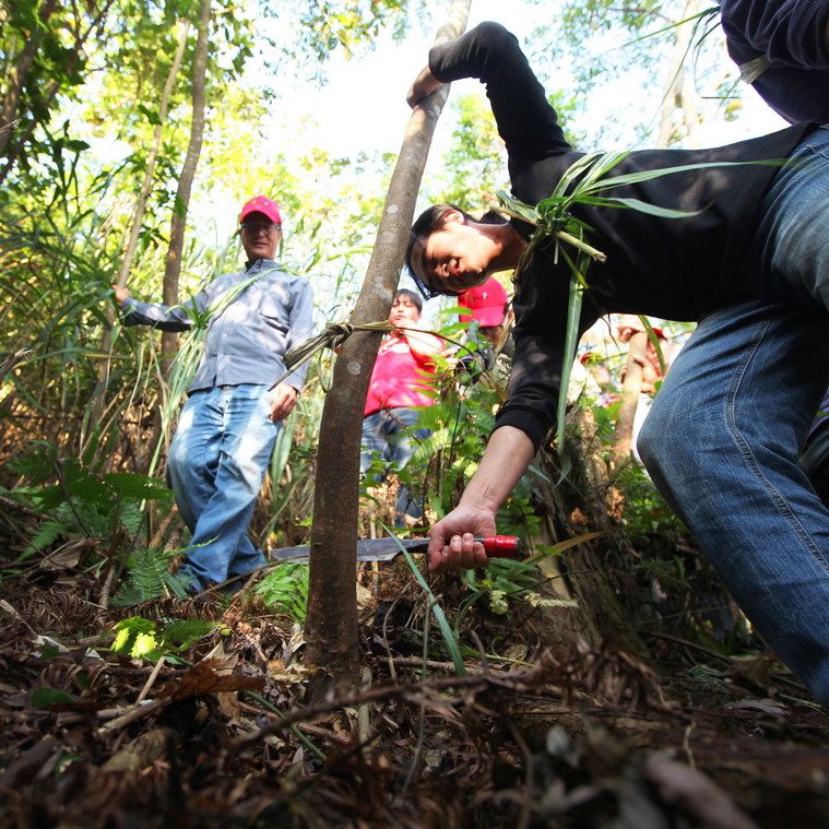 新竹縣 賽夏族巴斯達隘矮靈祭6後1天 大隘10