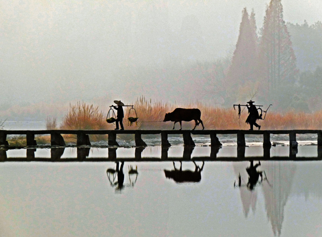 2008 農忙時刻 浙江