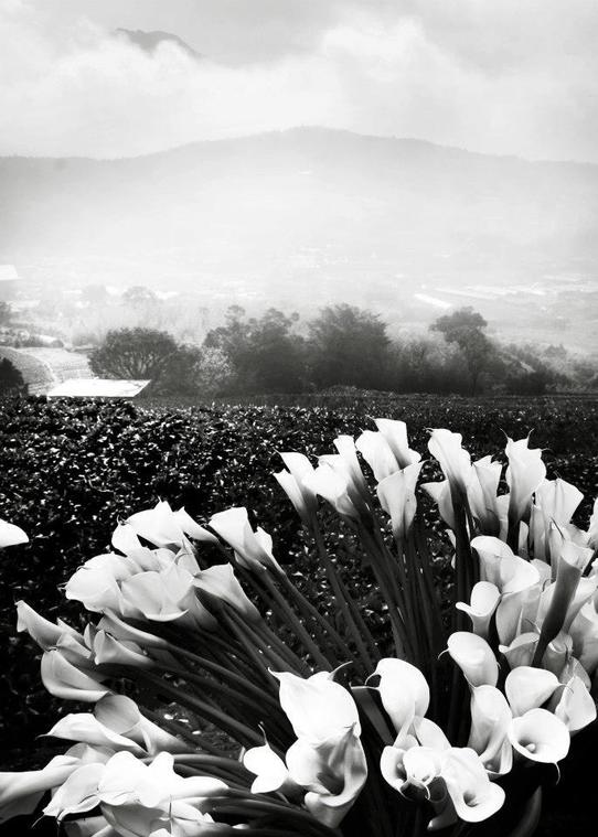 <Here is Taiwan #194>