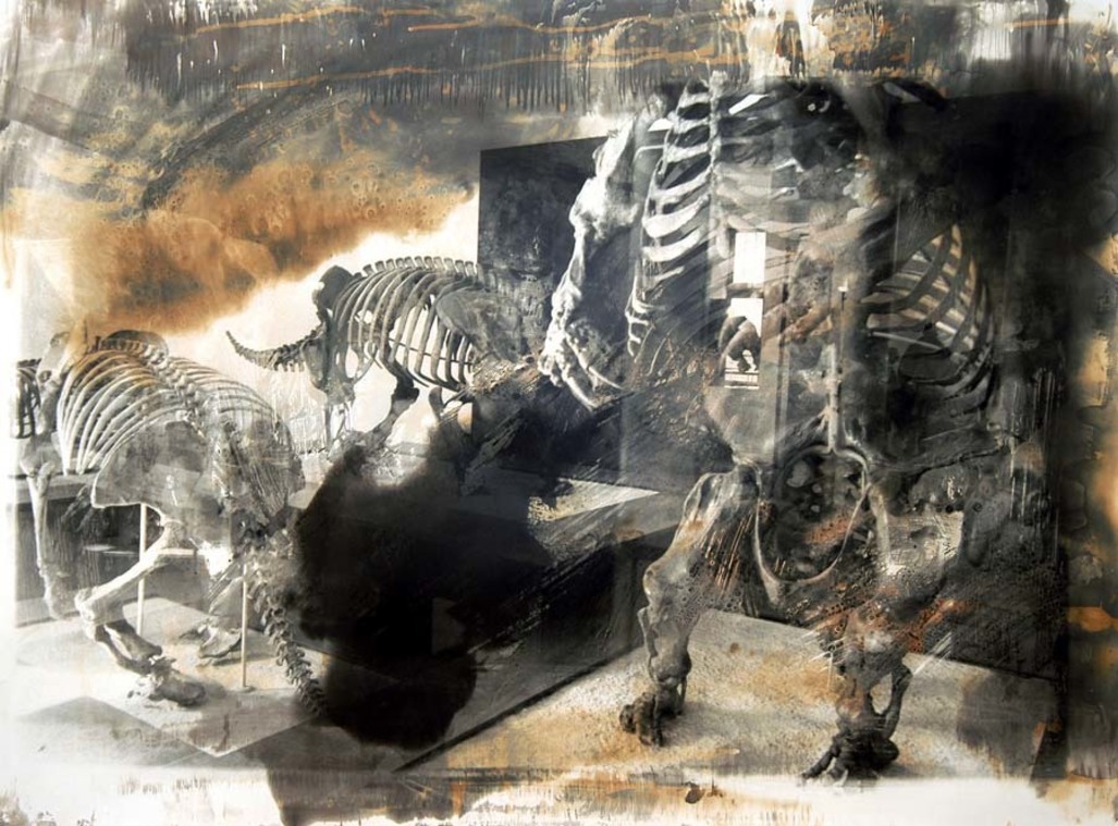 博物館系列9-長毛象