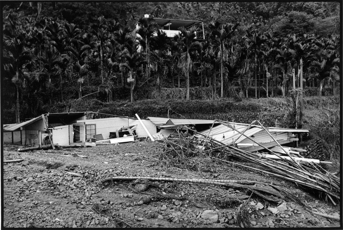 這次桃芝颱風所造成的土石流災害，並非完全是種檳榔樹的原因。