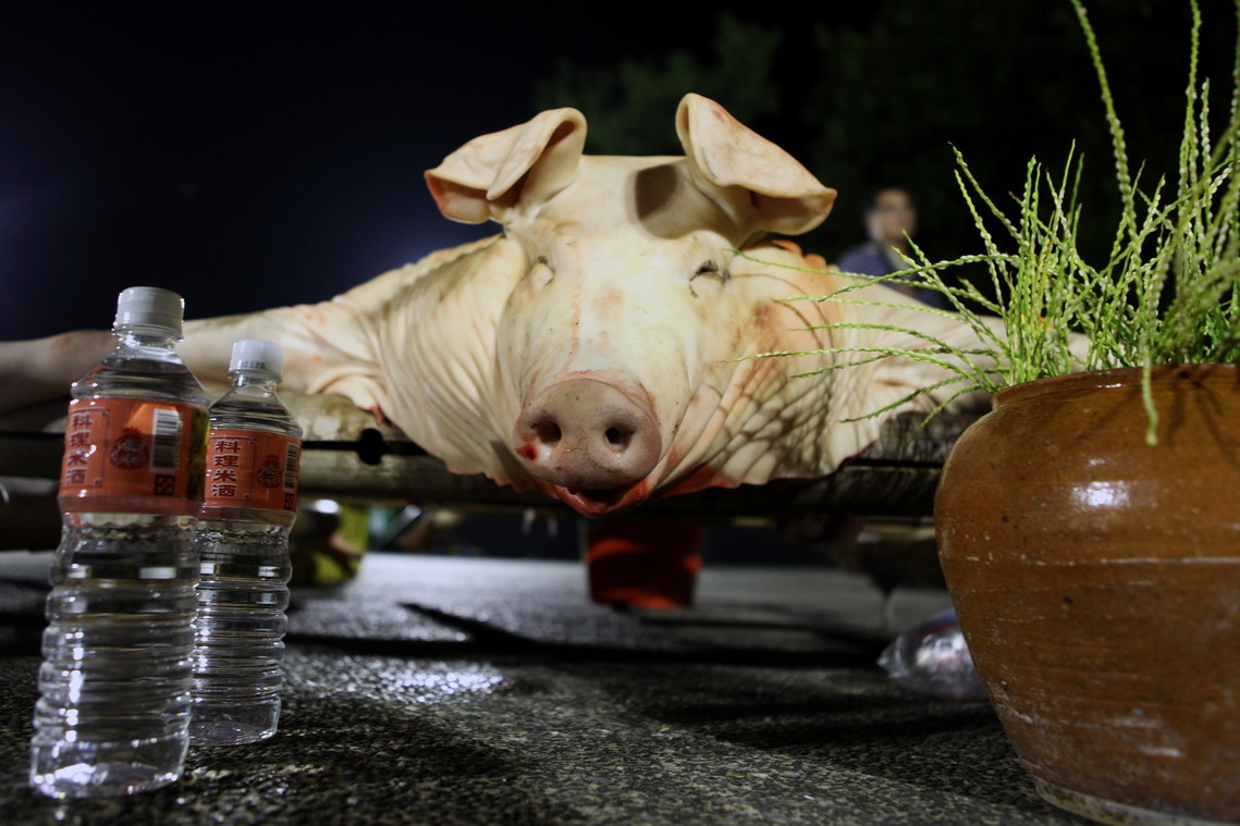 臺南市 東山吉貝耍夜祭3  獻豬3