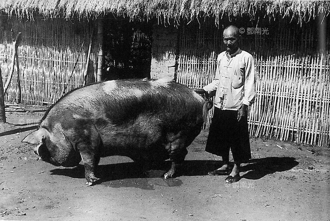 新竹1950年代鄧南光