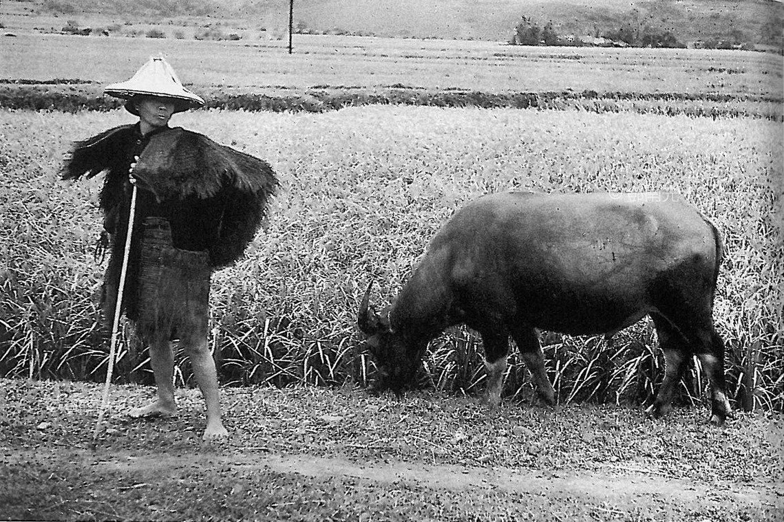 新竹1950年代鄧南光