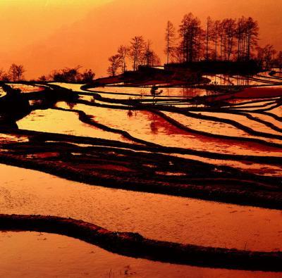 〈走向自然拓胸襟―吳泰炎的自然風光攝影展〉