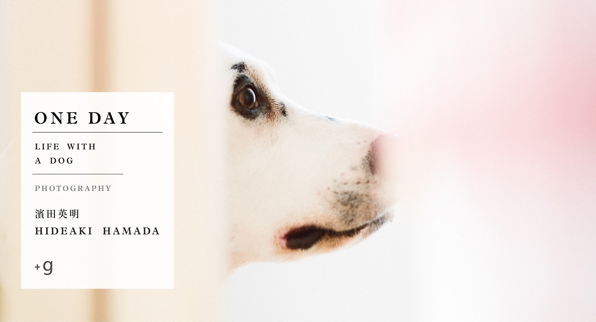 〈「與小狗一起生活這件事」攝影展〉