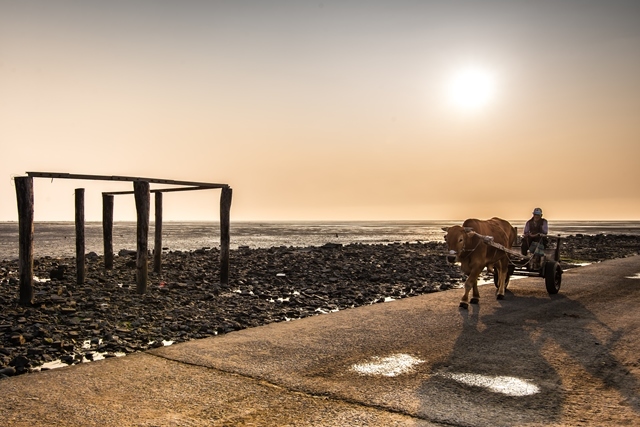 〈「看見」西南，半線情－施昭彰攝影個展〉