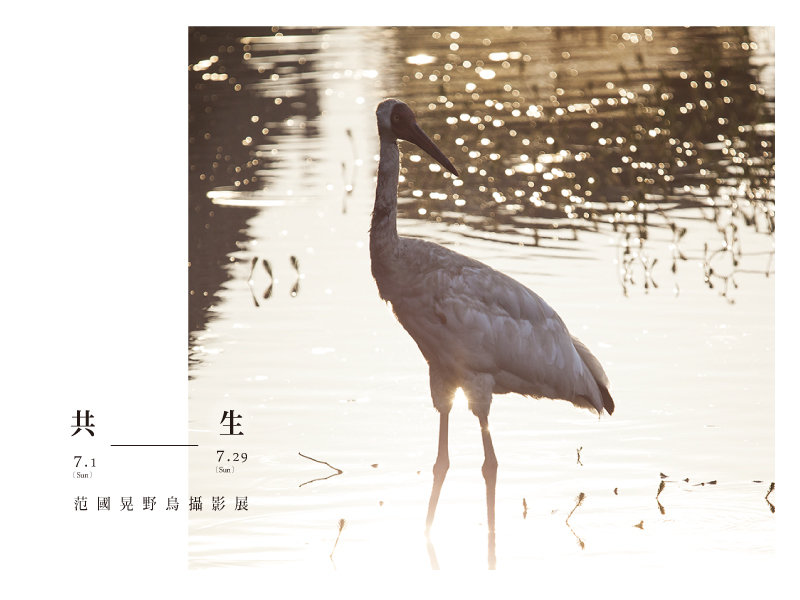 〈共生-范國晃野鳥攝影展〉
