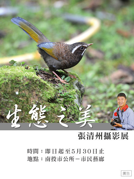 〈生態之美–張清州攝影展〉