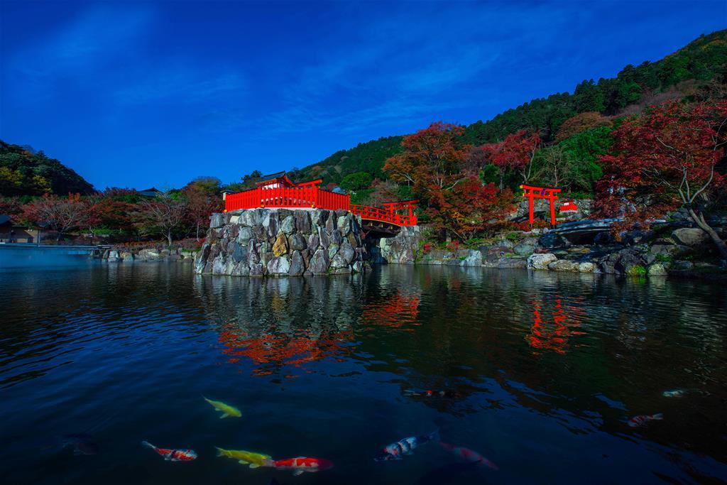 〈旅人 微聚與宏觀-張連宏攝影個展〉